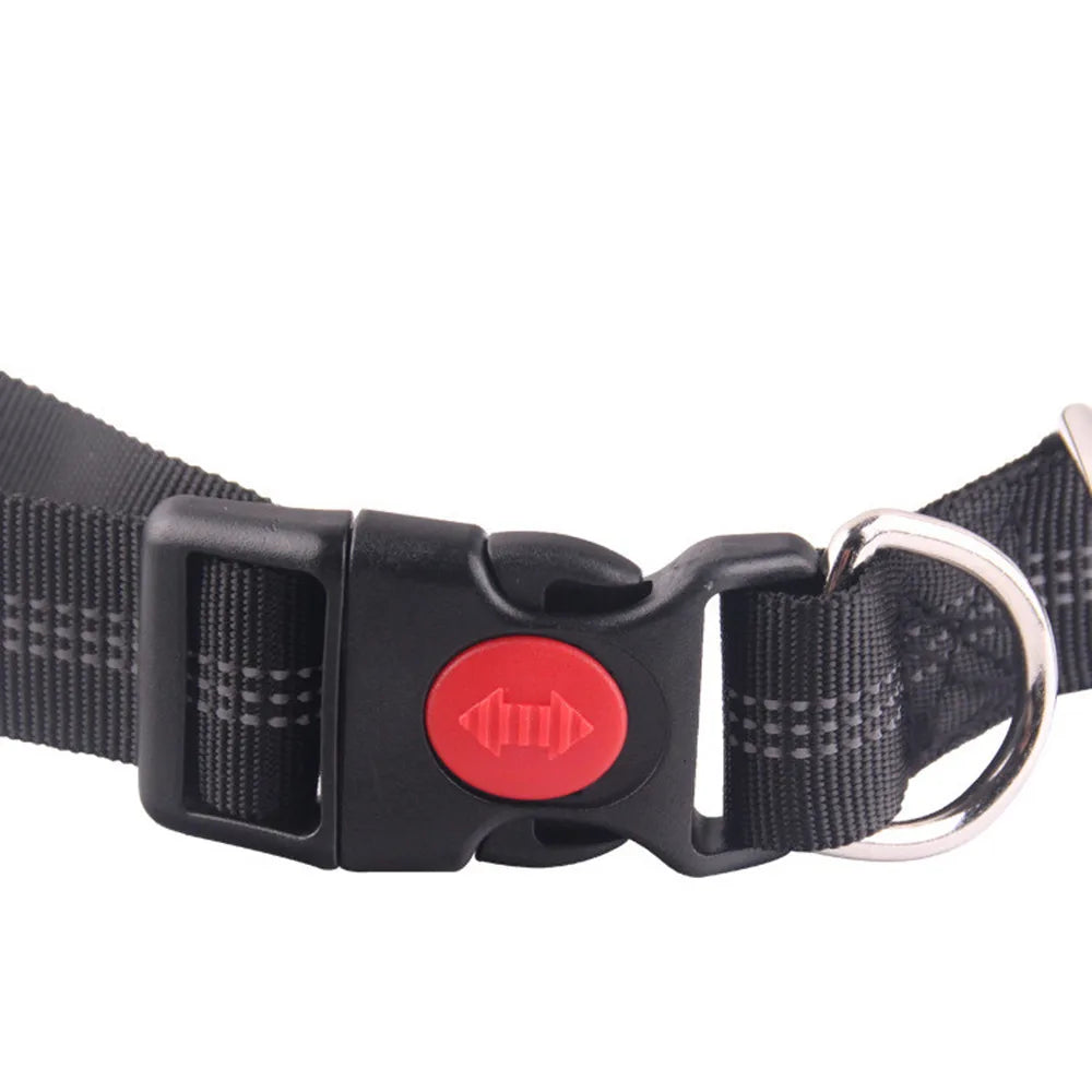 Free Hand Leash