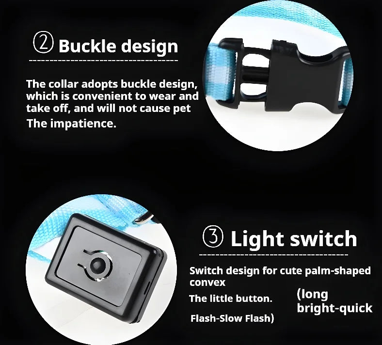 Dog Collar Nylon LED
