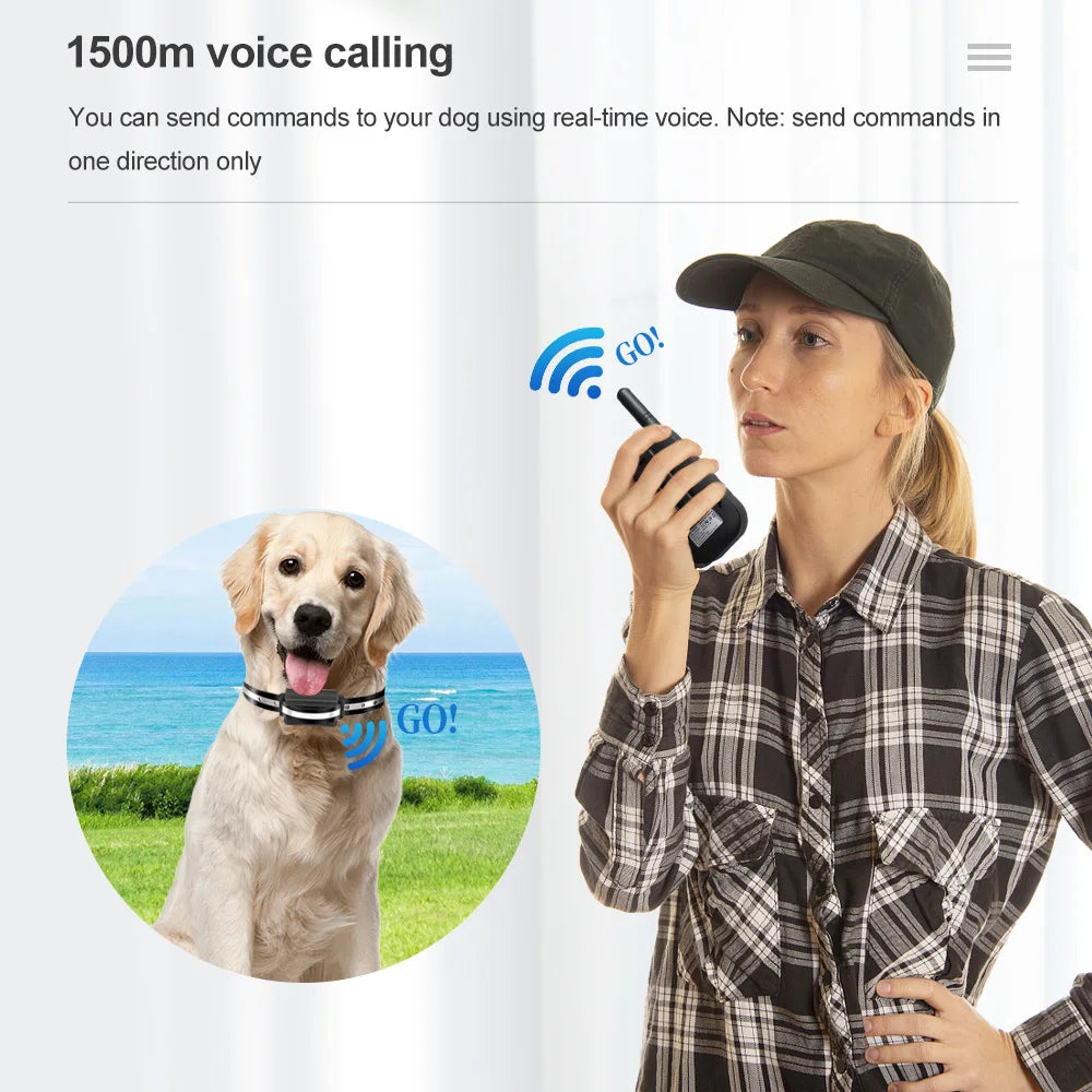 Electric Dog Training Collar
