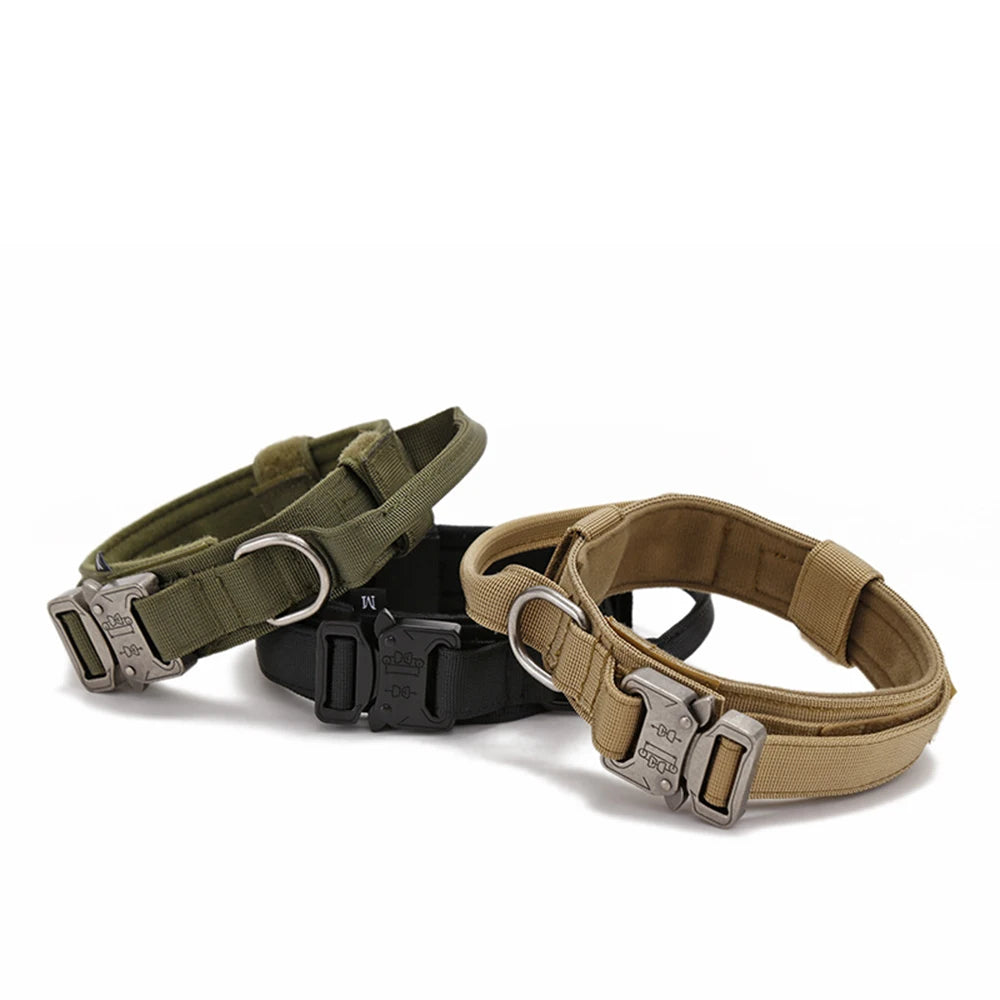 Solid Dog Collar