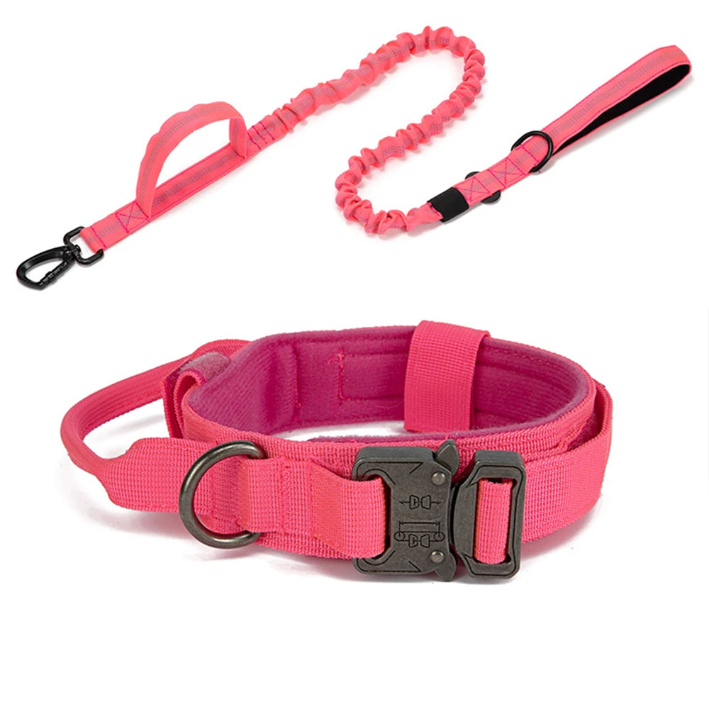 Solid Dog Collar