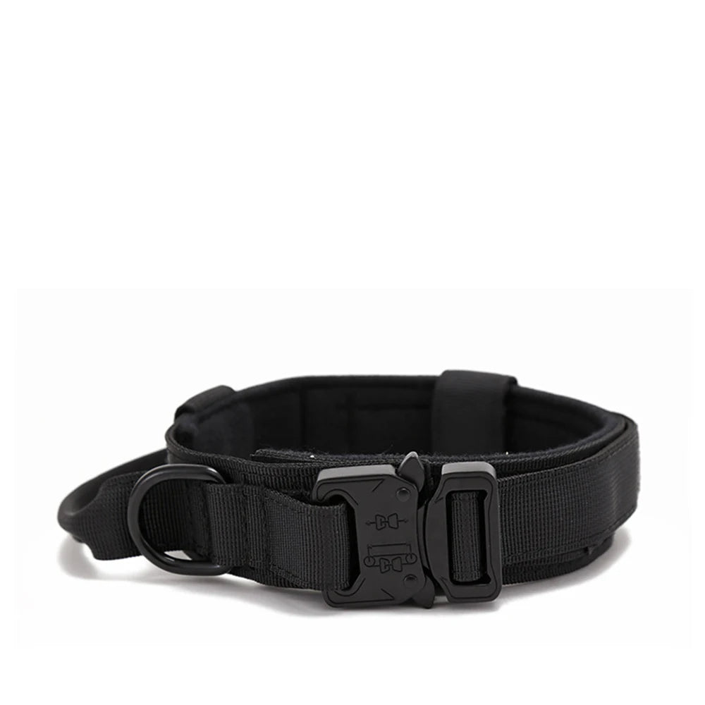 Solid Dog Collar