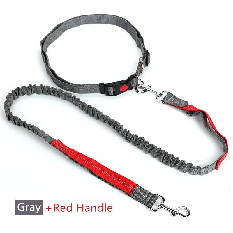 Free Hand Leash