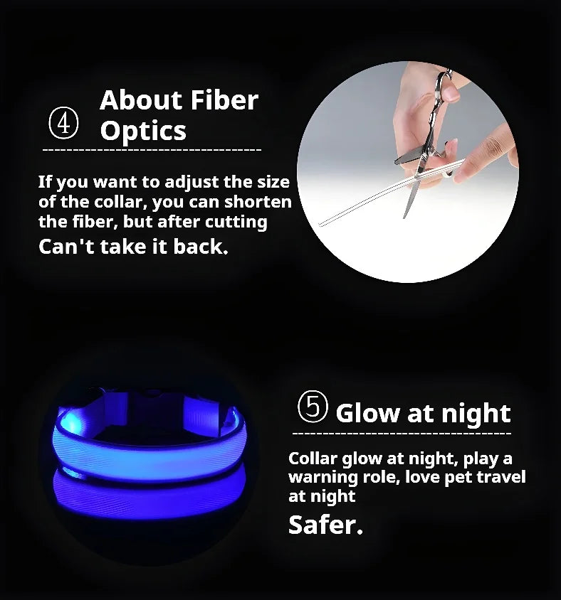 Dog Collar Nylon LED