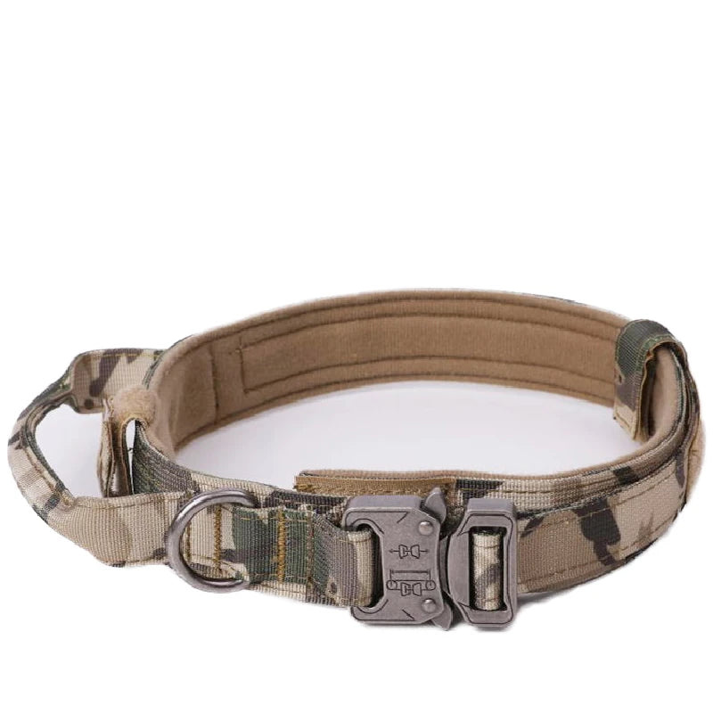 Solid Dog Collar