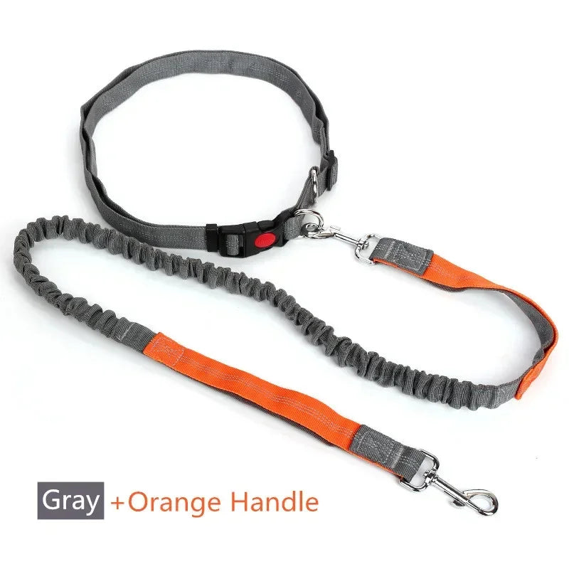Free Hand Leash