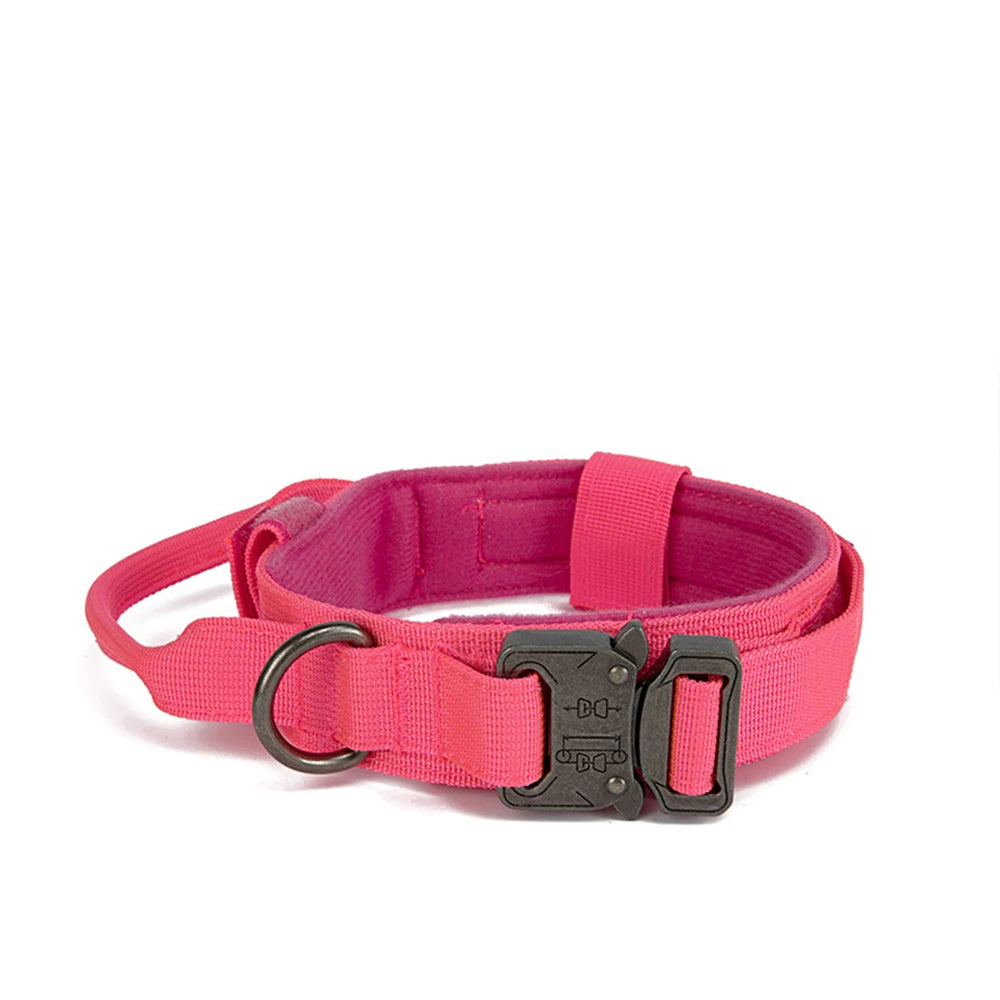 Solid Dog Collar