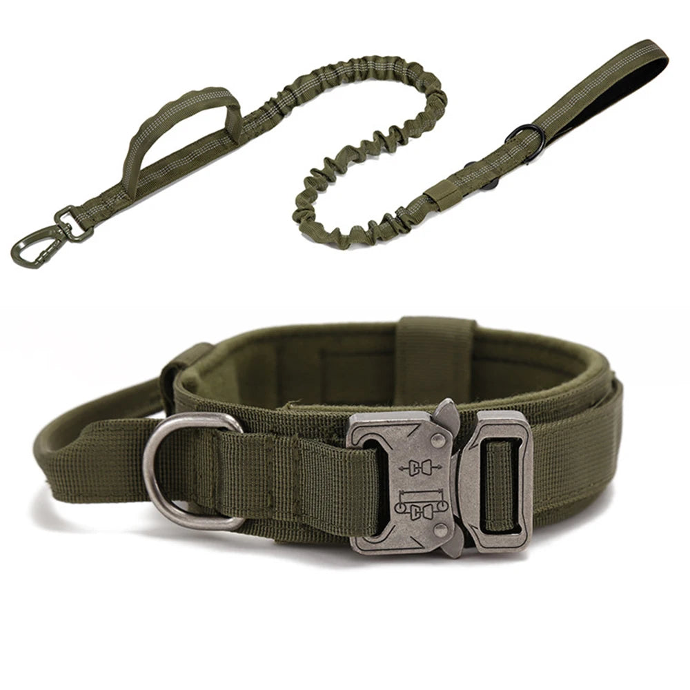 Solid Dog Collar