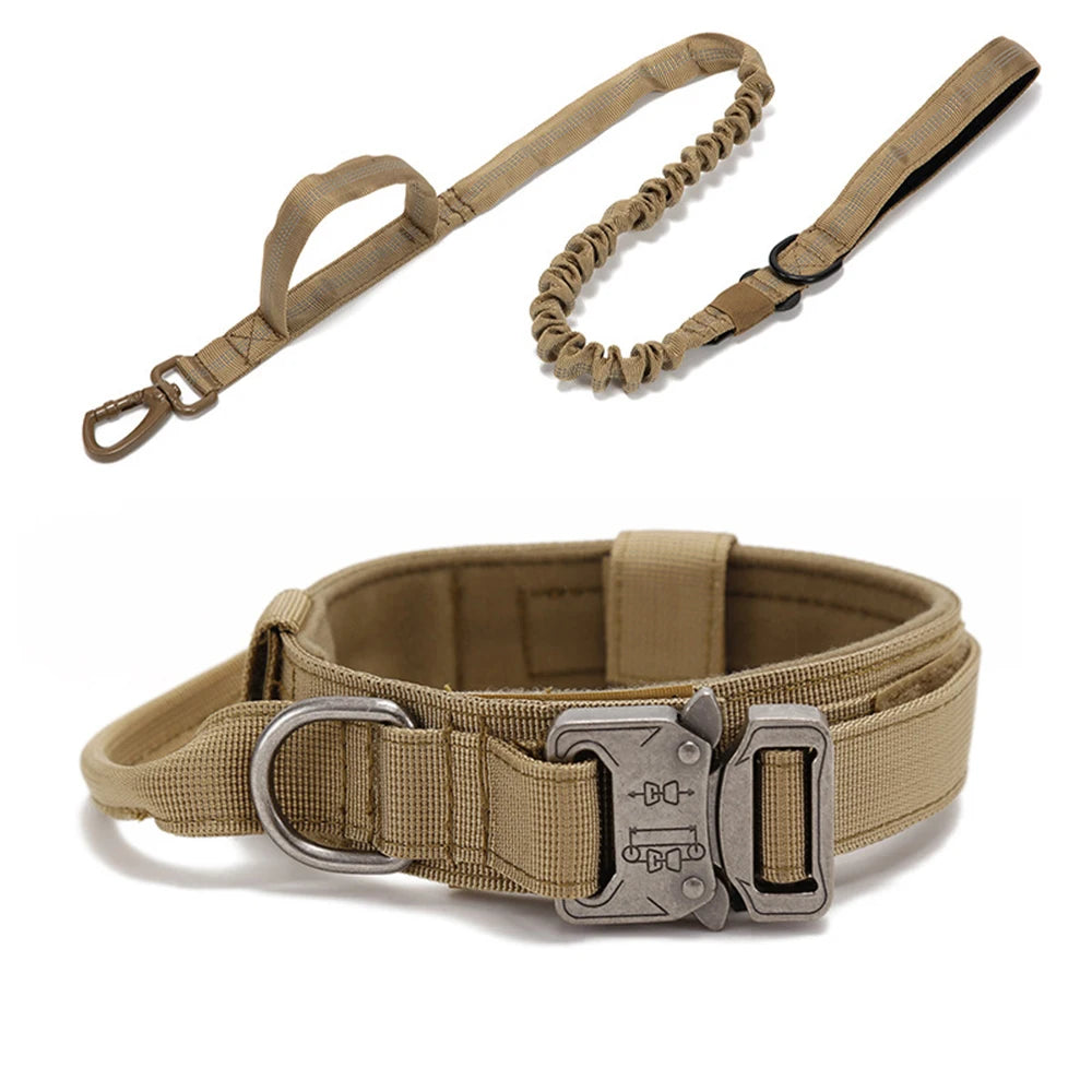 Solid Dog Collar