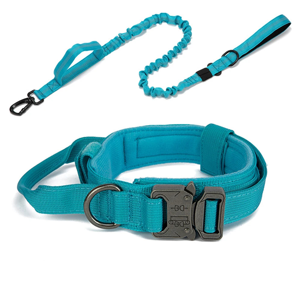 Solid Dog Collar