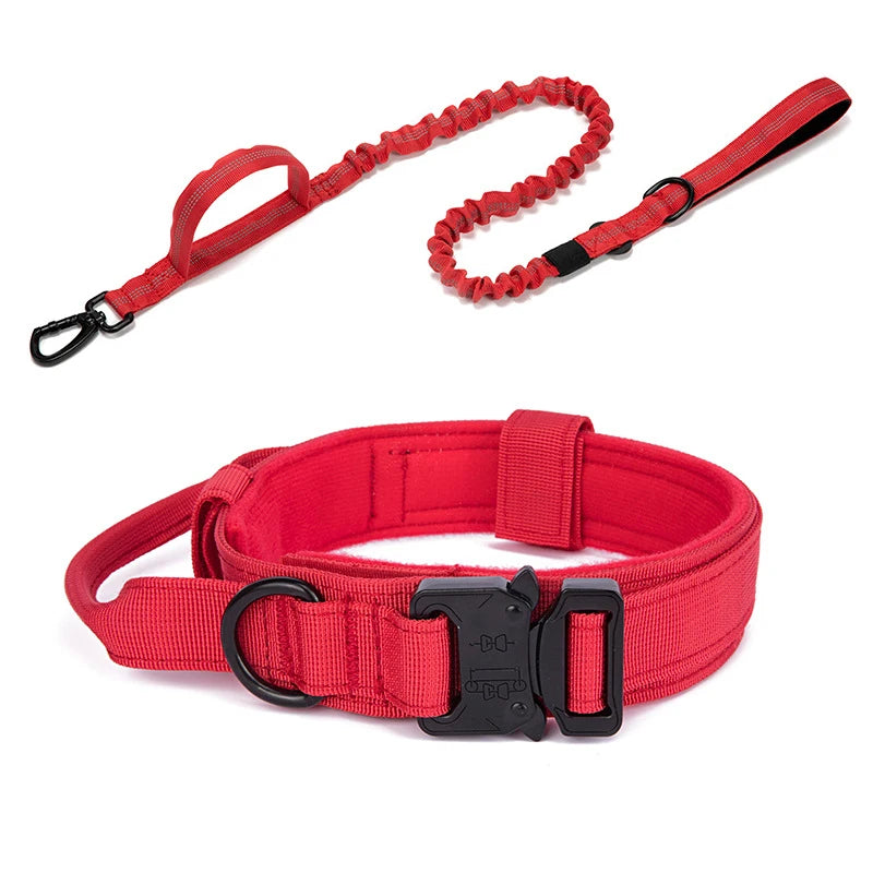 Solid Dog Collar