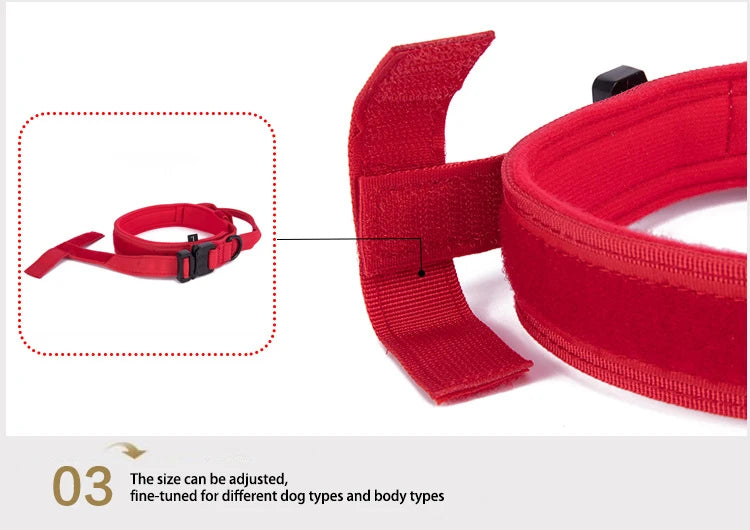 Solid Dog Collar