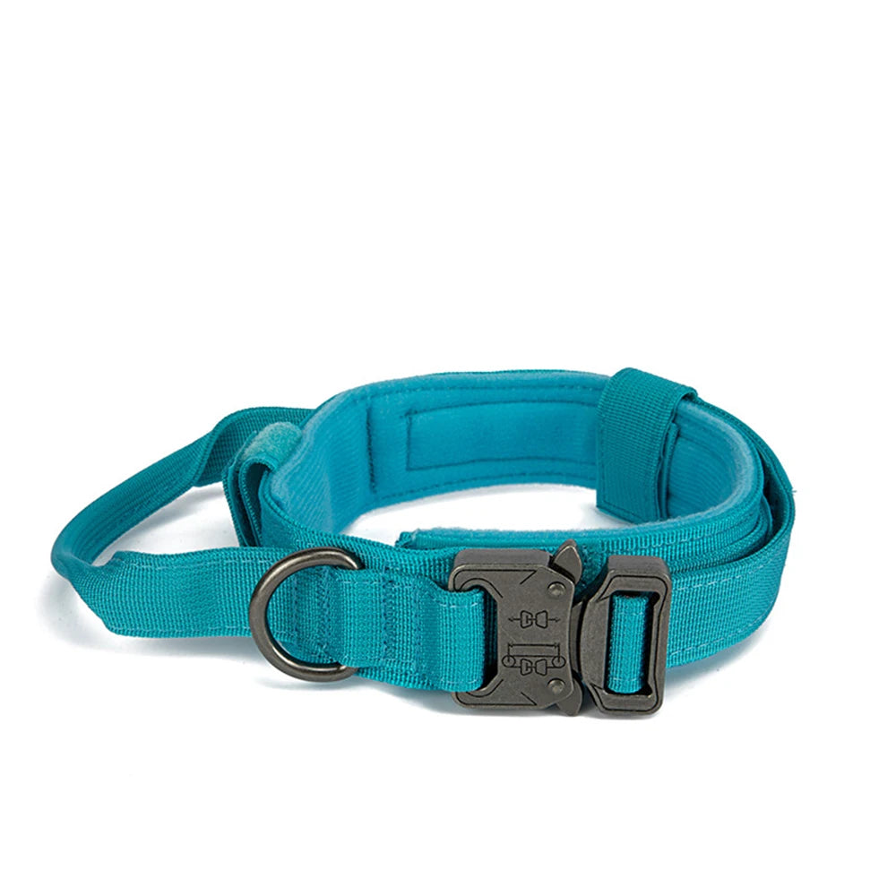 Solid Dog Collar