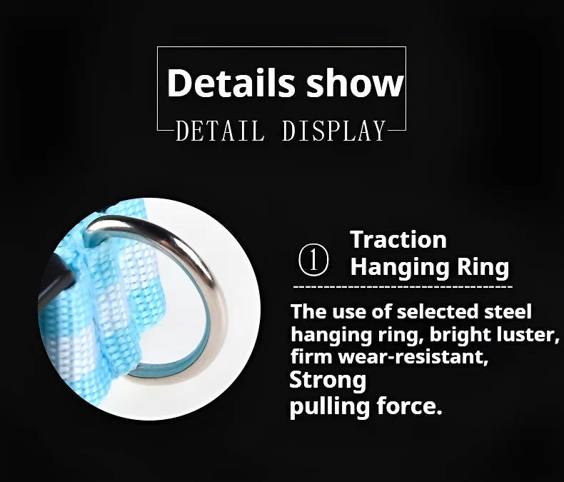 Dog Collar Nylon LED