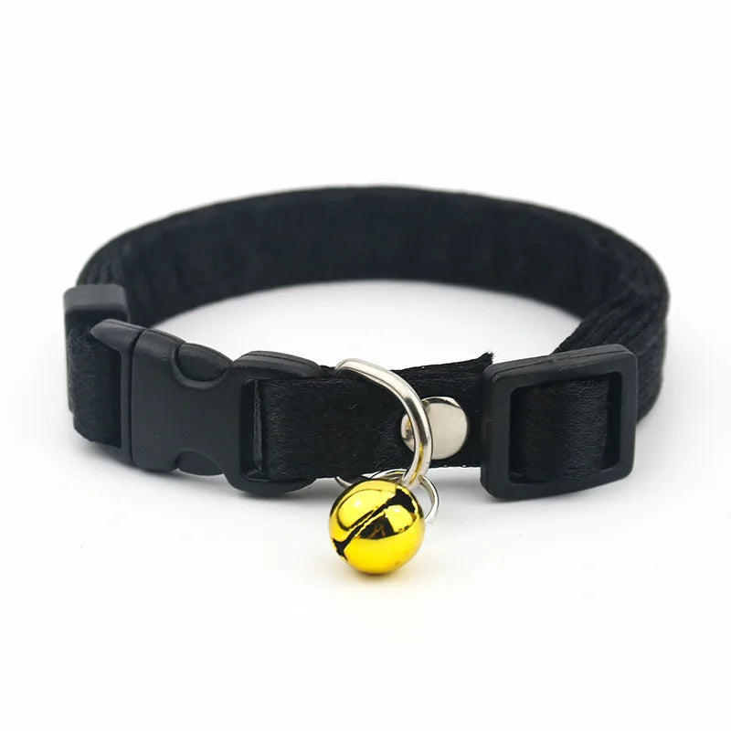 Cat Collar