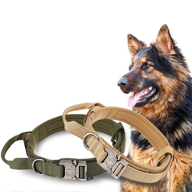 Solid Dog Collar