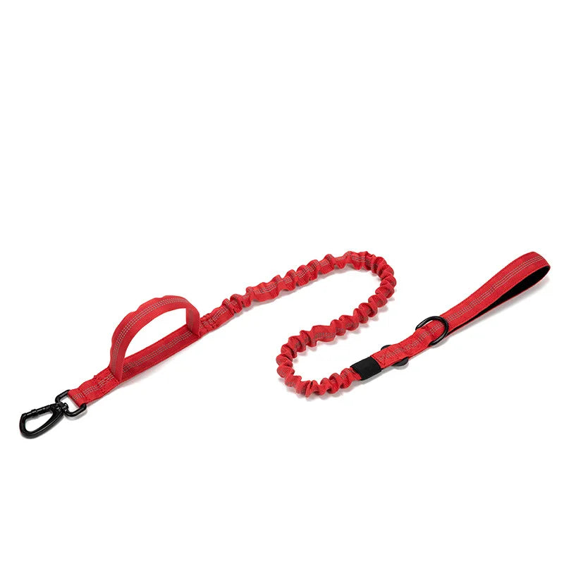 Solid Dog Collar
