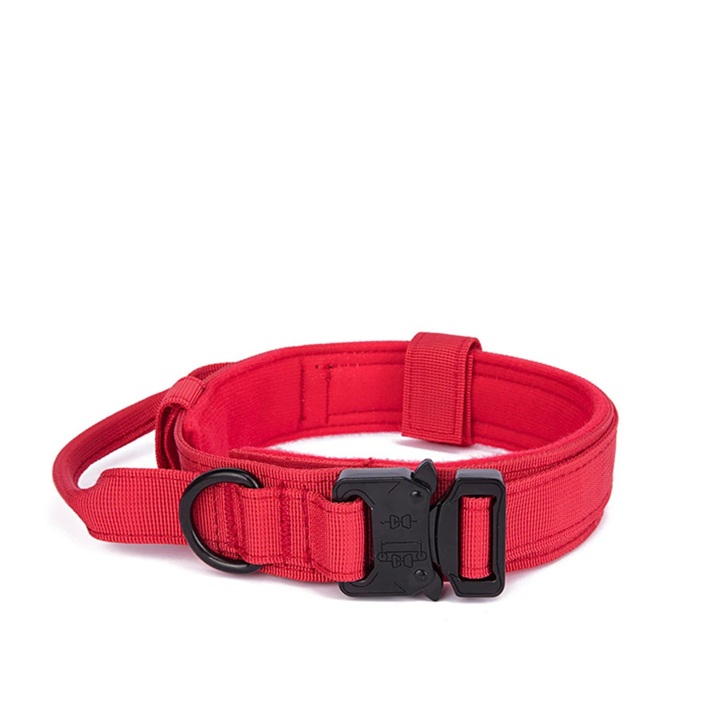 Solid Dog Collar
