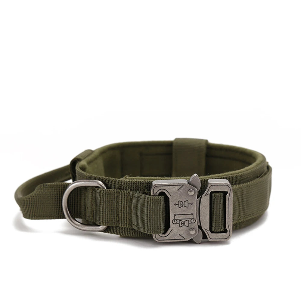 Solid Dog Collar