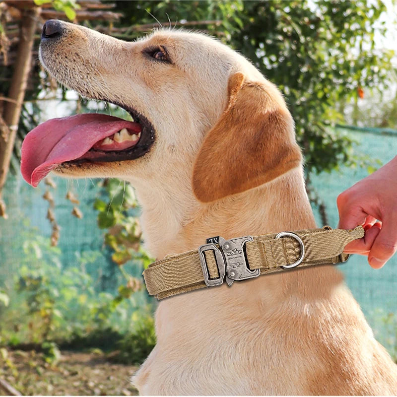 Solid Dog Collar