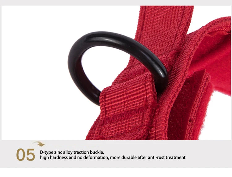 Solid Dog Collar