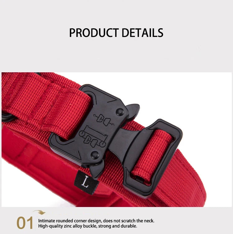 Solid Dog Collar
