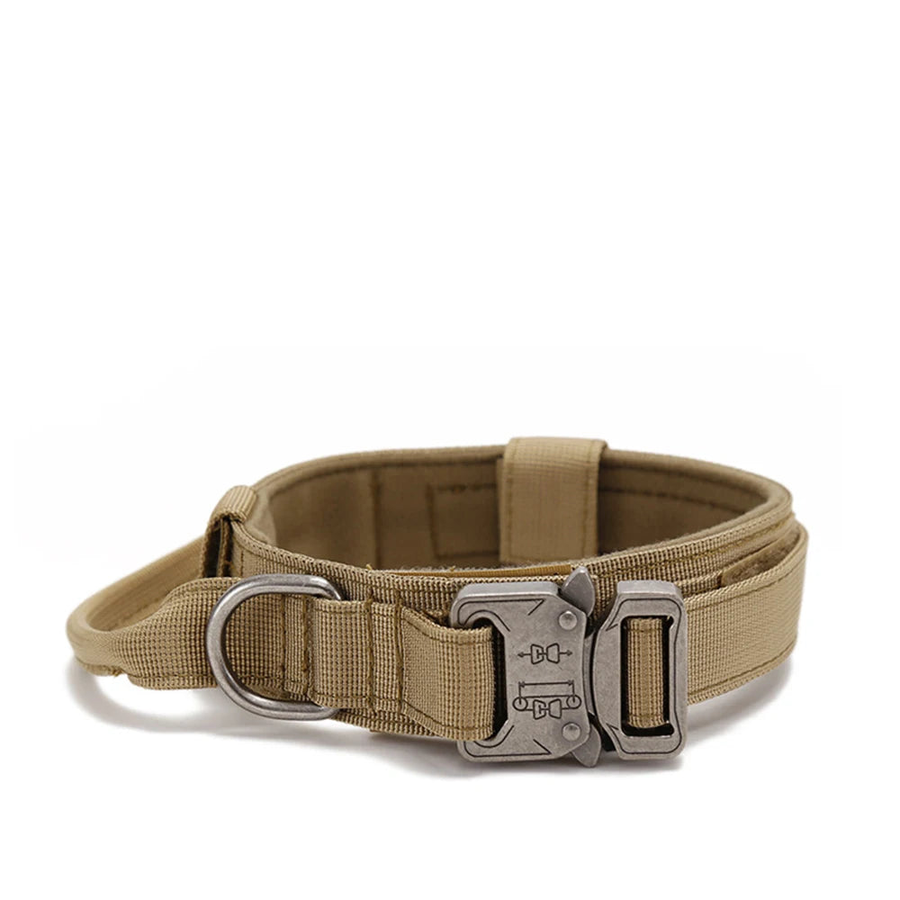 Solid Dog Collar
