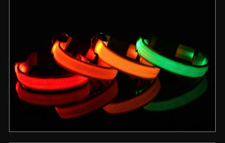 Dog Collar Nylon LED