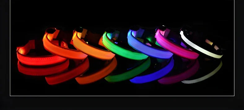 Dog Collar Nylon LED