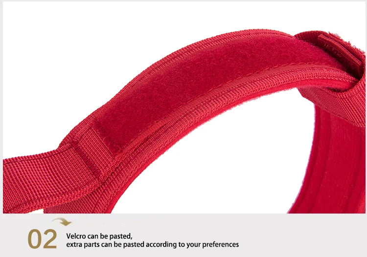 Solid Dog Collar