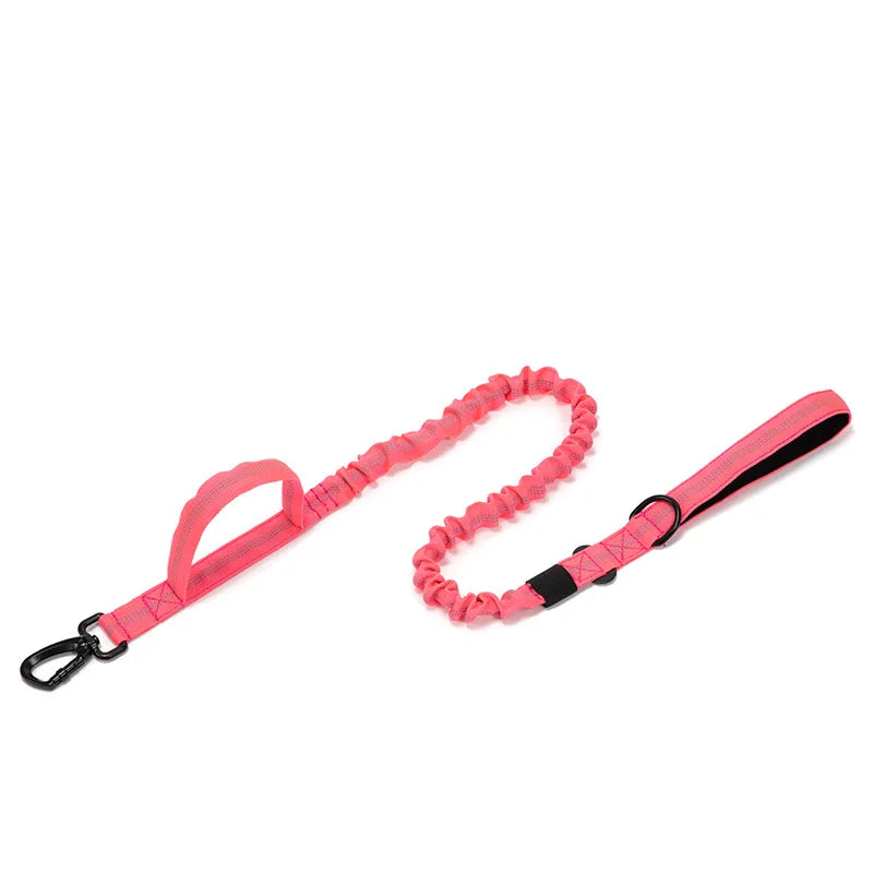 Solid Dog Collar