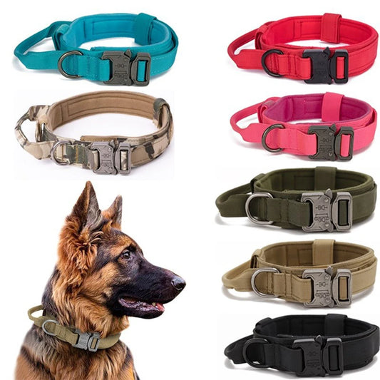 Solid Dog Collar