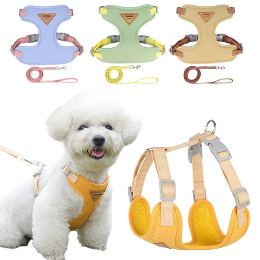 Harness Leash Set