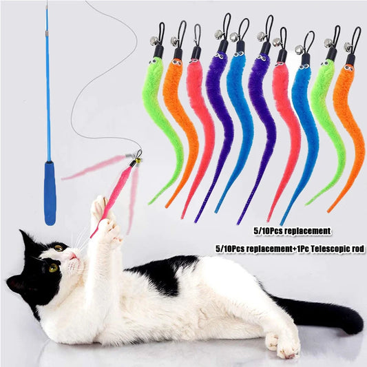 Cat Teaser